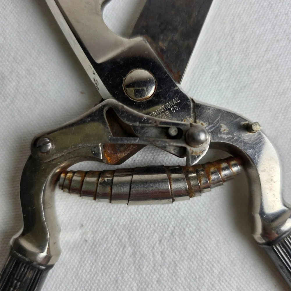 1925 International Silver Co Poultry Shears 'Minuet' German Stainless Steel